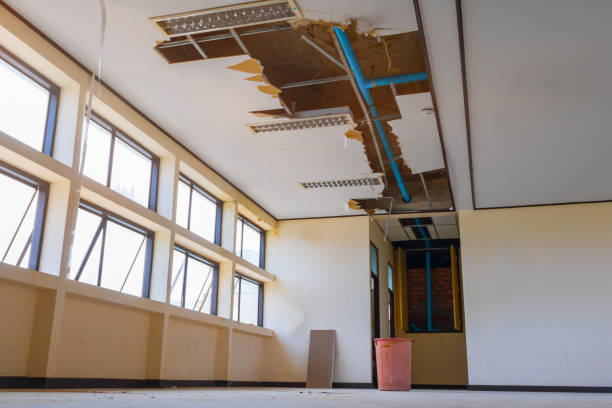 Best Commercial water damage restoration  in Ferriday, LA