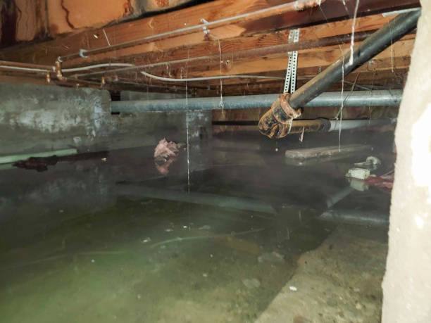  Ferriday, LA Water damage restoration Pros