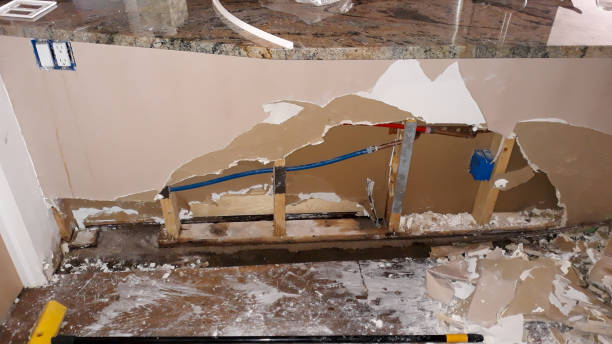 Best Local water damage restoration  in Ferriday, LA