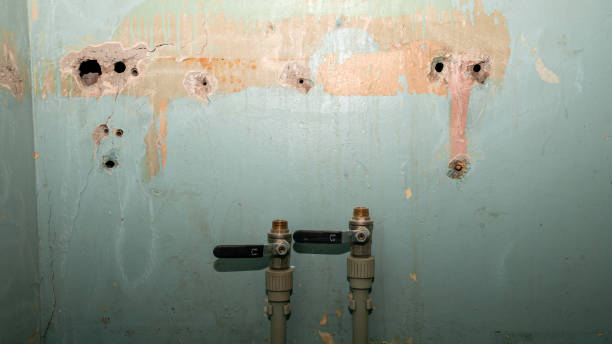Best Professional water damage repair  in Ferriday, LA